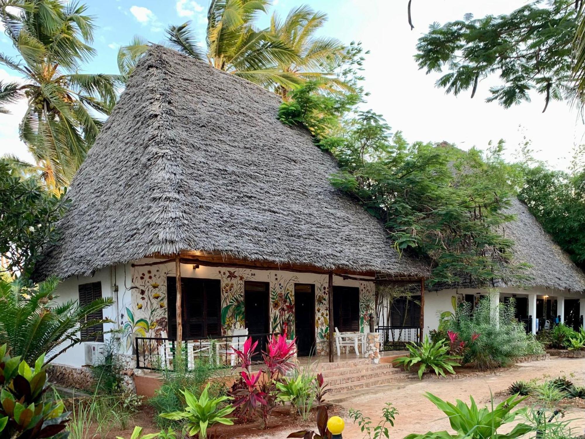Hotell Mambo Ocean