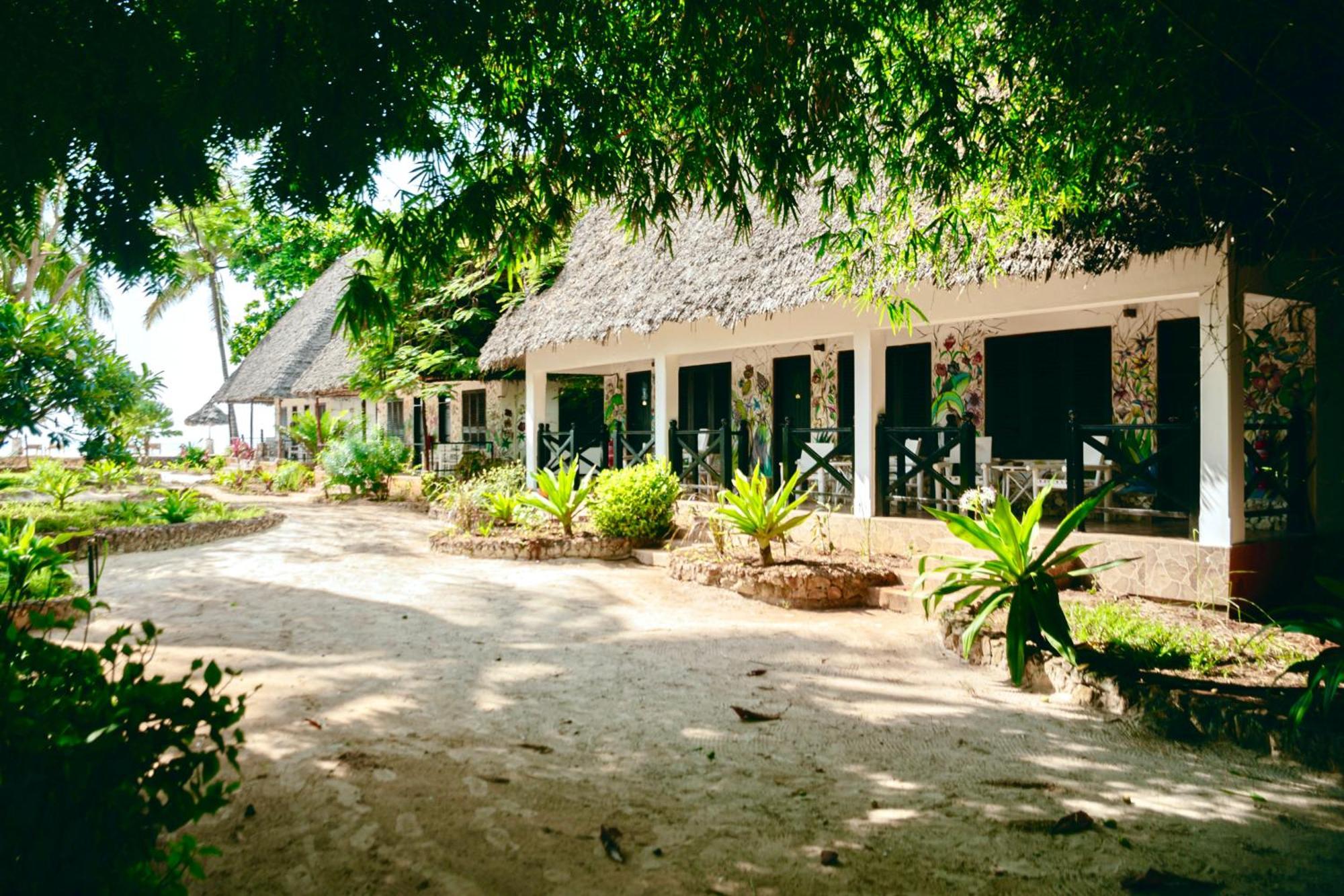 Hotell Mambo Ocean